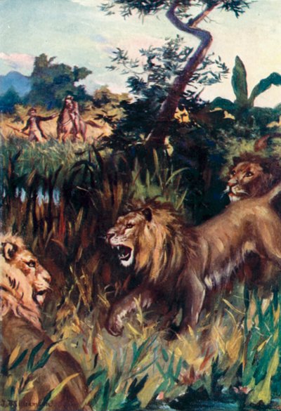 Mungo Park, A frequent danger by J. Williamson